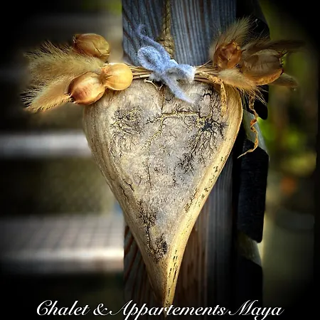 Maya Apartamento Schladming